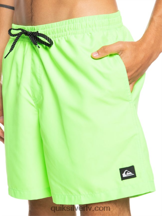vīriešiem Quiksilver ikdienā 17 zalves zaļais gekons 88064R621