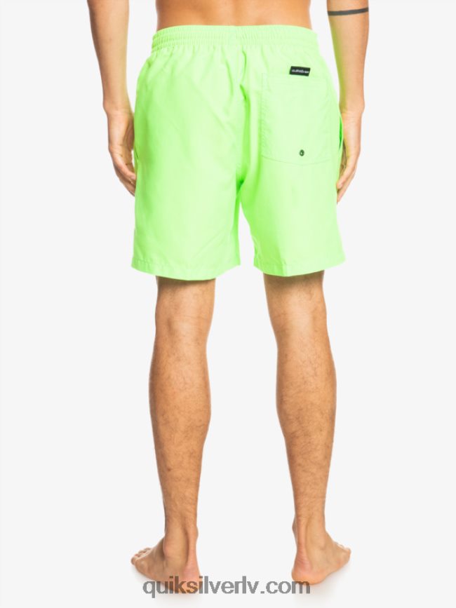 vīriešiem Quiksilver ikdienā 17 zalves zaļais gekons 88064R621