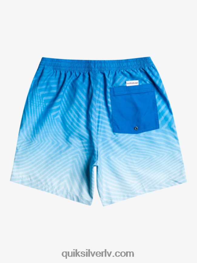 vīriešiem Quiksilver ikdienas deformēts logo 17 zalves snorkel zils 88064R1178
