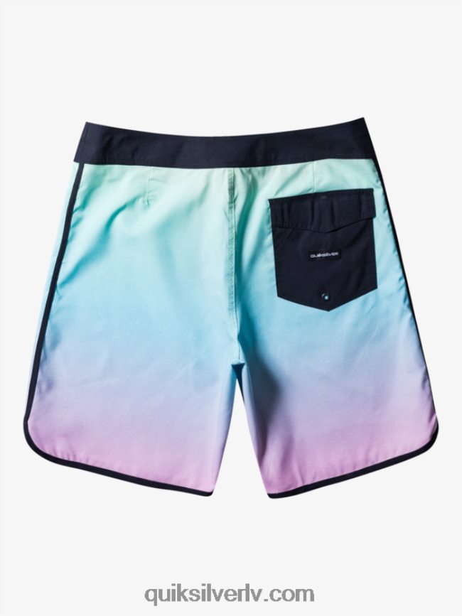 vīriešiem Quiksilver ikdienas ķemmīšgliemene 19 dēļu šorti upe zila 88064R766