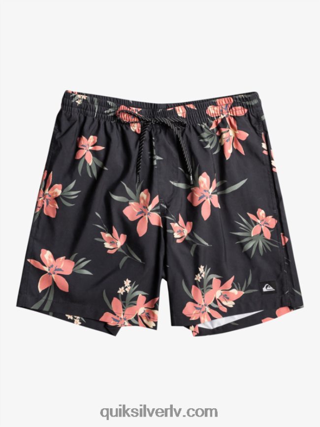 vīriešiem Quiksilver ikdienas mix 17 zalves asfalts 88064R1208