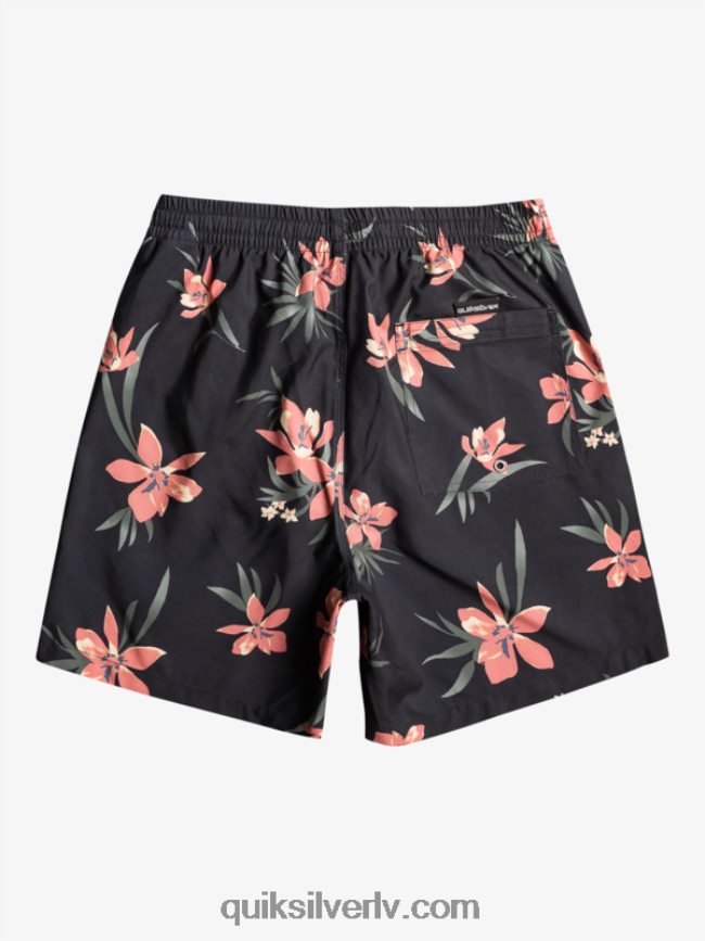 vīriešiem Quiksilver ikdienas mix 17 zalves asfalts 88064R1208