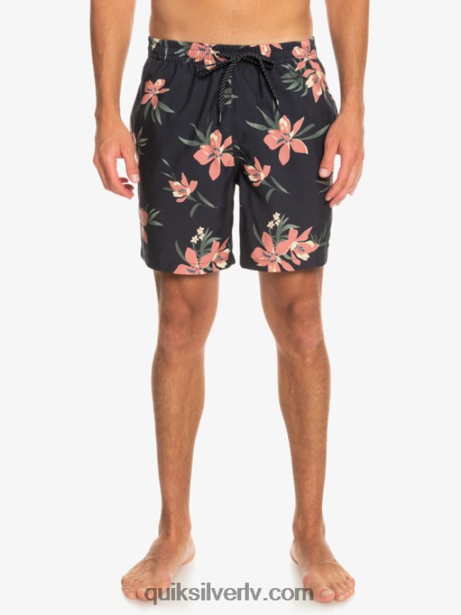 vīriešiem Quiksilver ikdienas mix 17 zalves asfalts 88064R1208