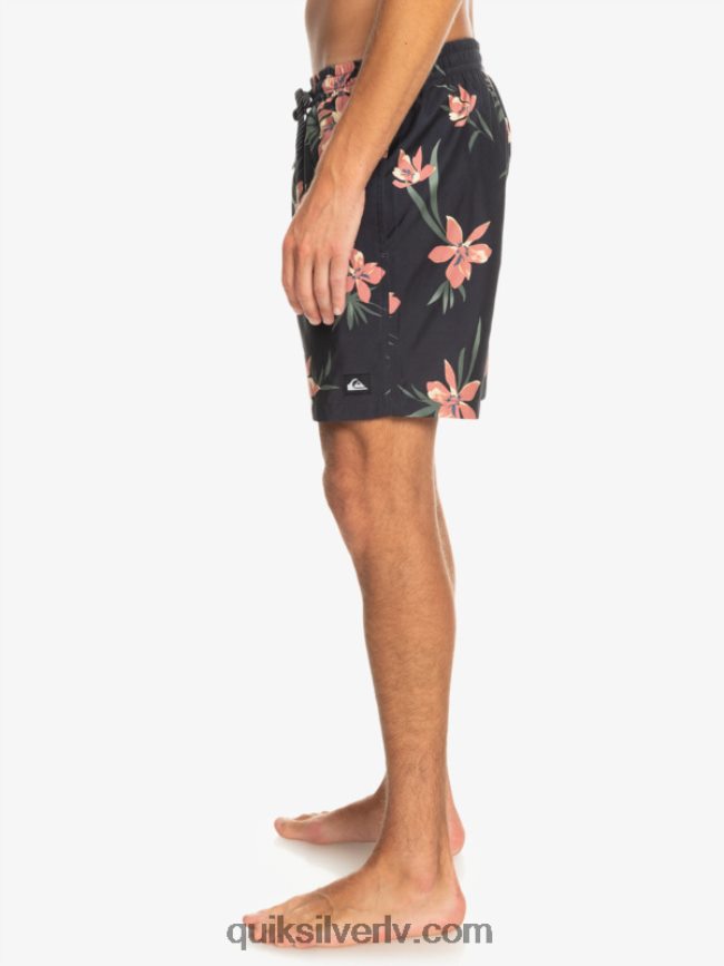 vīriešiem Quiksilver ikdienas mix 17 zalves asfalts 88064R1208