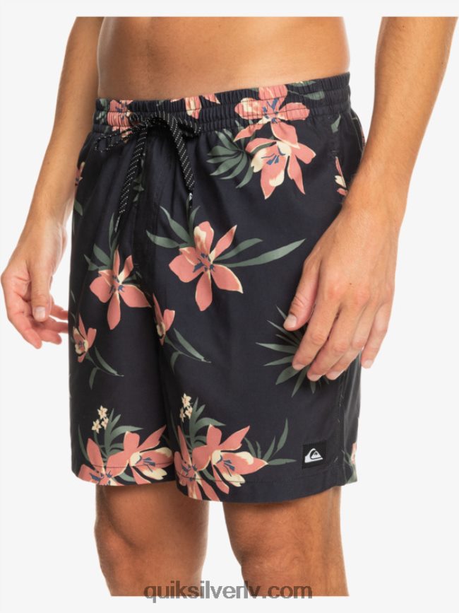 vīriešiem Quiksilver ikdienas mix 17 zalves asfalts 88064R1208