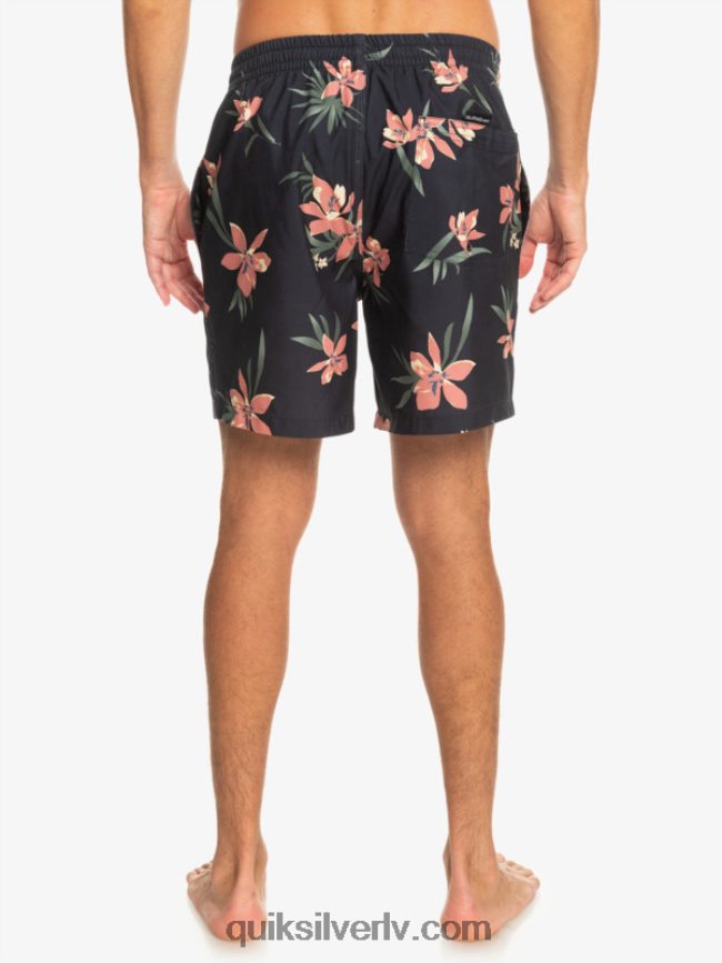 vīriešiem Quiksilver ikdienas mix 17 zalves asfalts 88064R1208