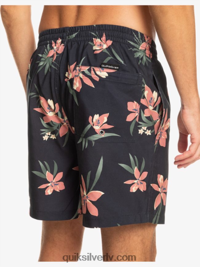 vīriešiem Quiksilver ikdienas mix 17 zalves asfalts 88064R1208