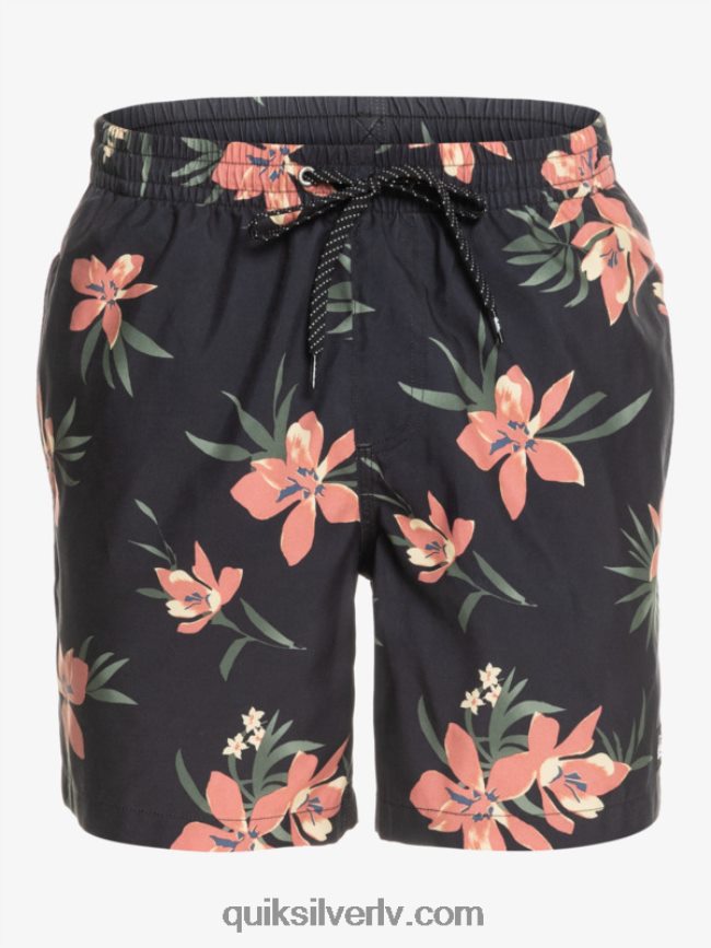 vīriešiem Quiksilver ikdienas mix 17 zalves asfalts 88064R1208