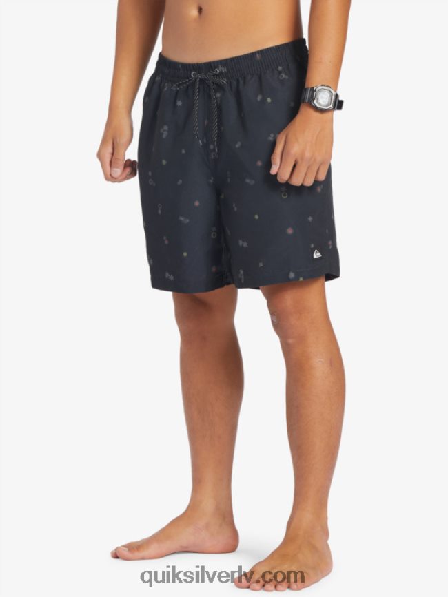 vīriešiem Quiksilver ikdienas mix 17 zalves asfalts 88064R682
