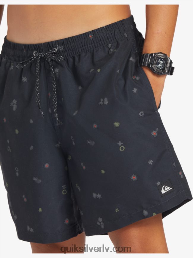 vīriešiem Quiksilver ikdienas mix 17 zalves asfalts 88064R682