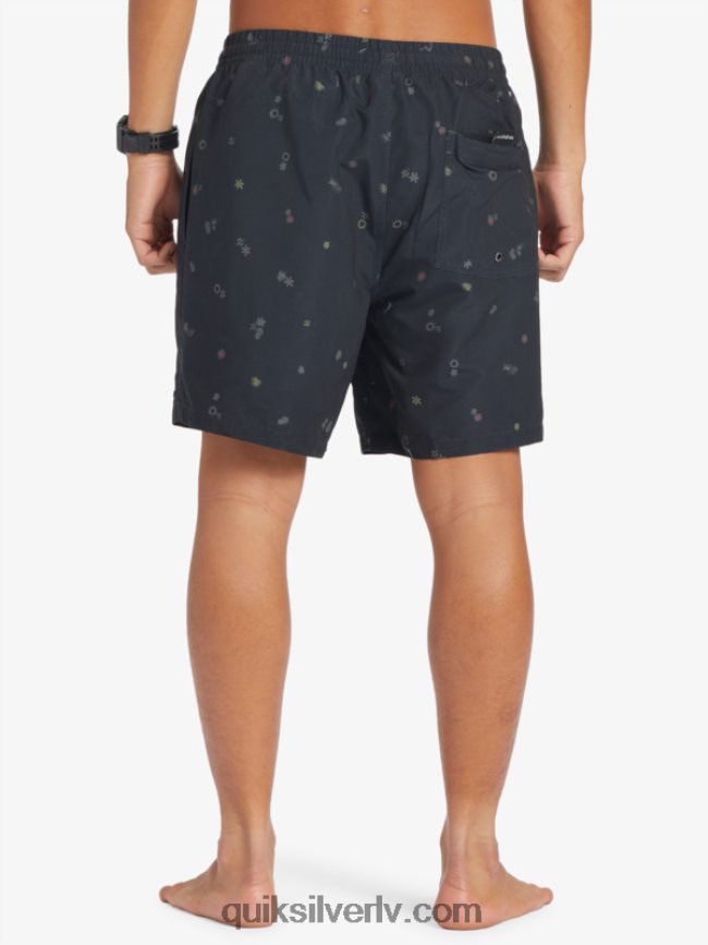 vīriešiem Quiksilver ikdienas mix 17 zalves asfalts 88064R682