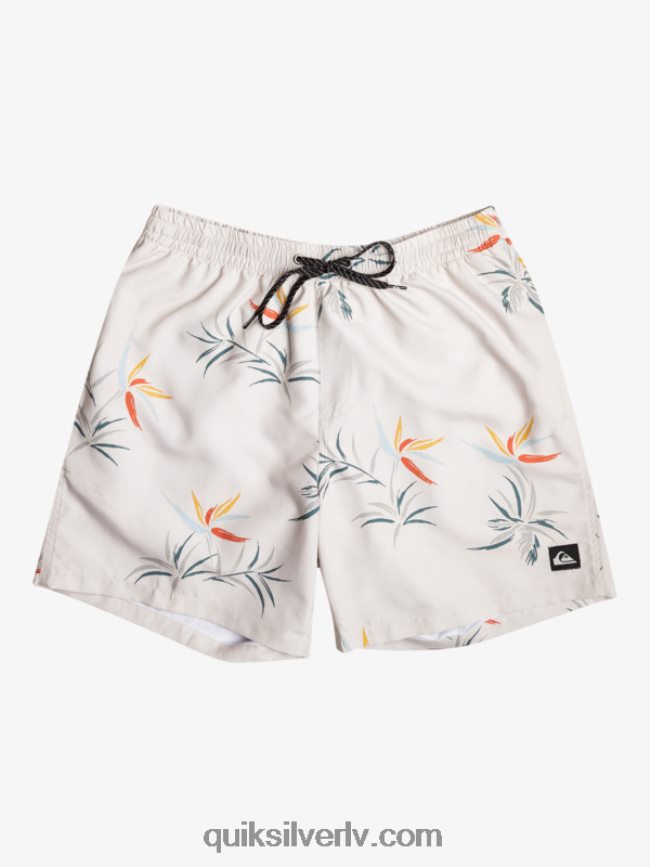 vīriešiem Quiksilver ikdienas mix 17 zalves bērzs 88064R676