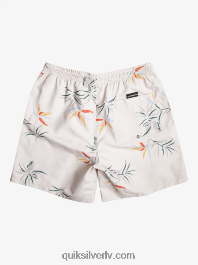 vīriešiem Quiksilver ikdienas mix 17 zalves bērzs 88064R676