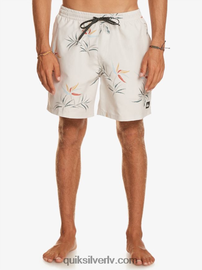 vīriešiem Quiksilver ikdienas mix 17 zalves bērzs 88064R676