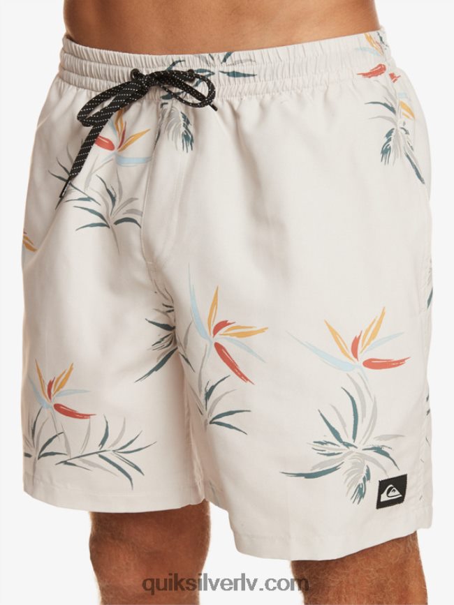 vīriešiem Quiksilver ikdienas mix 17 zalves bērzs 88064R676