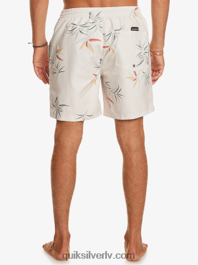 vīriešiem Quiksilver ikdienas mix 17 zalves bērzs 88064R676
