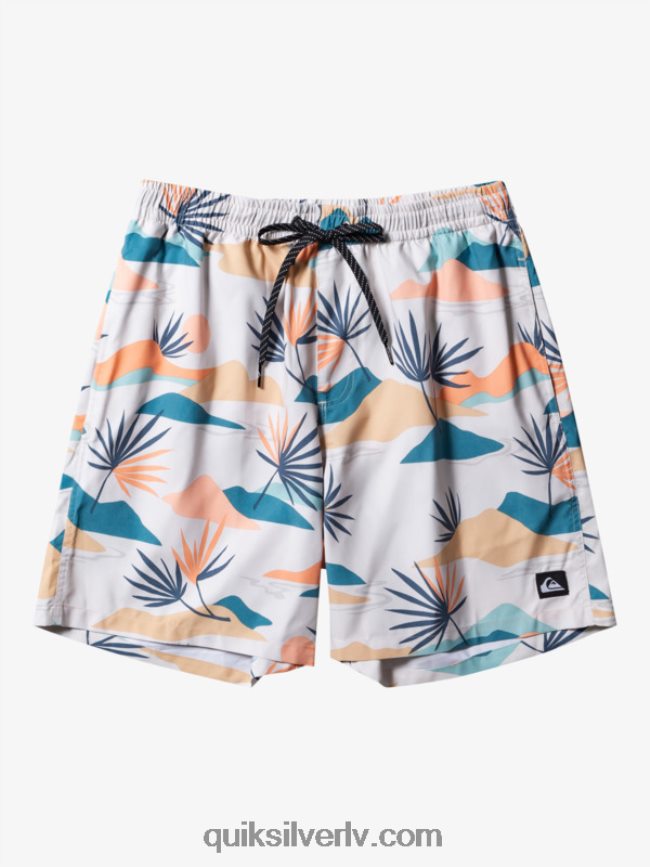 vīriešiem Quiksilver ikdienas mix 17 zalves bērzs 88064R678