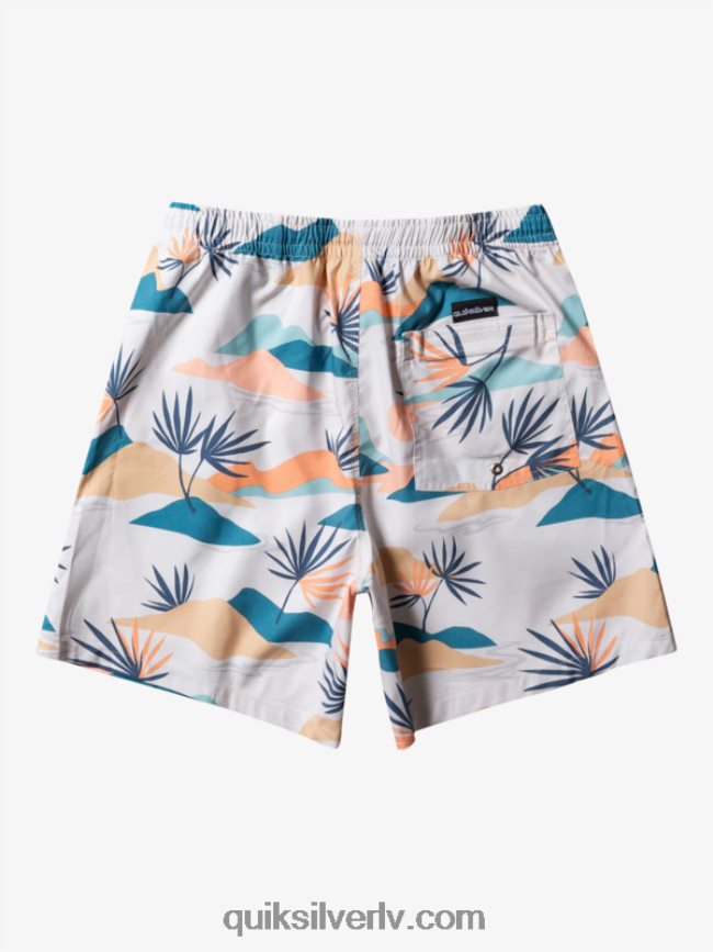vīriešiem Quiksilver ikdienas mix 17 zalves bērzs 88064R678
