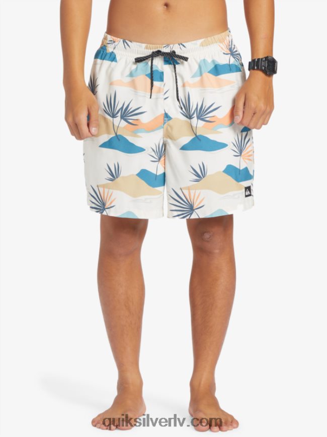 vīriešiem Quiksilver ikdienas mix 17 zalves bērzs 88064R678