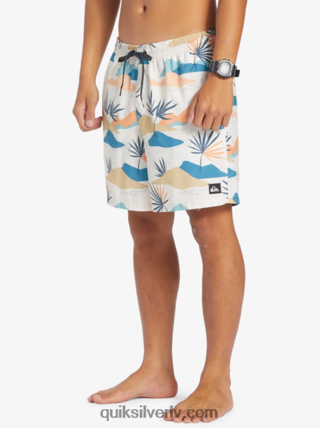 vīriešiem Quiksilver ikdienas mix 17 zalves bērzs 88064R678