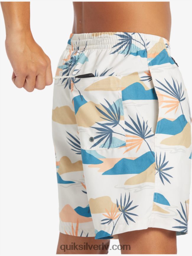 vīriešiem Quiksilver ikdienas mix 17 zalves bērzs 88064R678