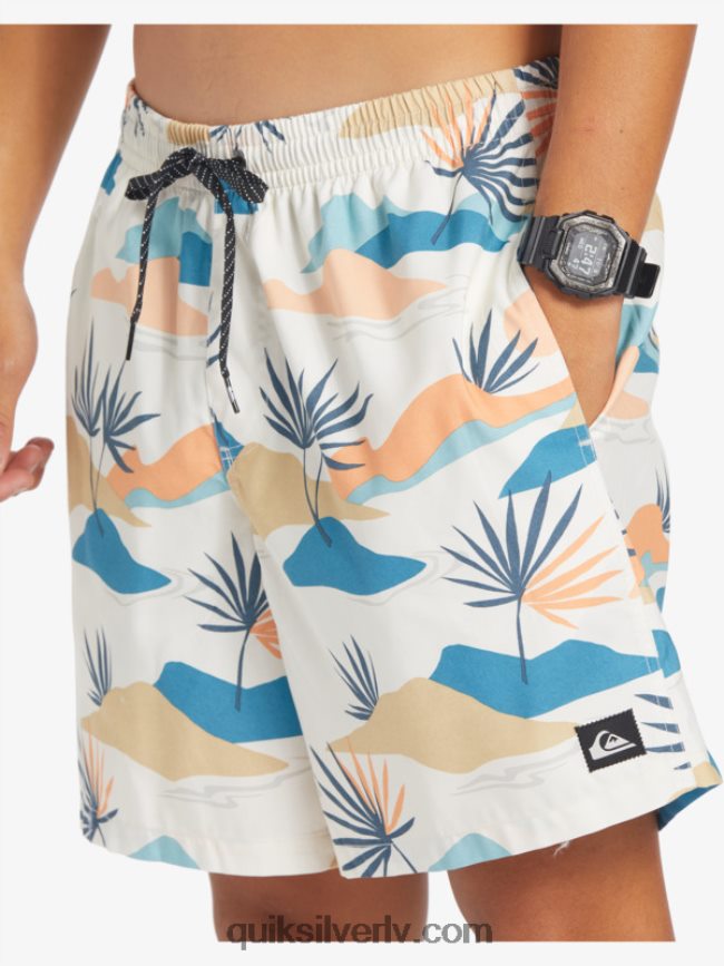 vīriešiem Quiksilver ikdienas mix 17 zalves bērzs 88064R678