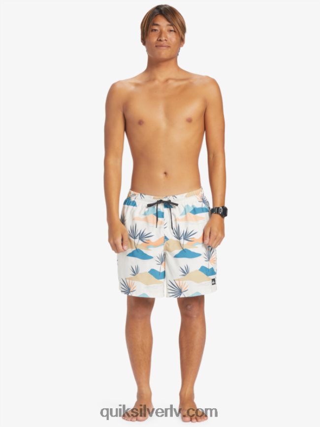 vīriešiem Quiksilver ikdienas mix 17 zalves bērzs 88064R678