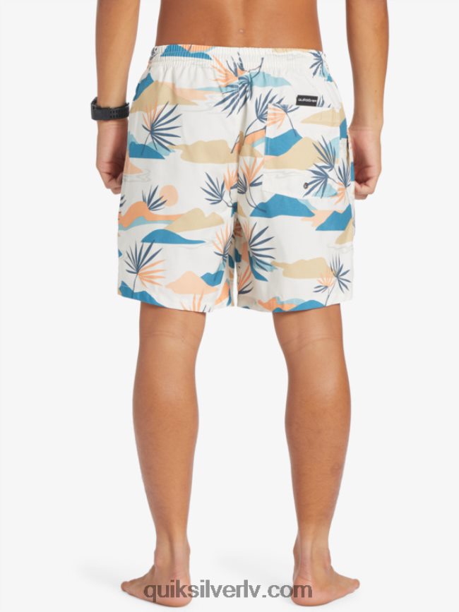 vīriešiem Quiksilver ikdienas mix 17 zalves bērzs 88064R678