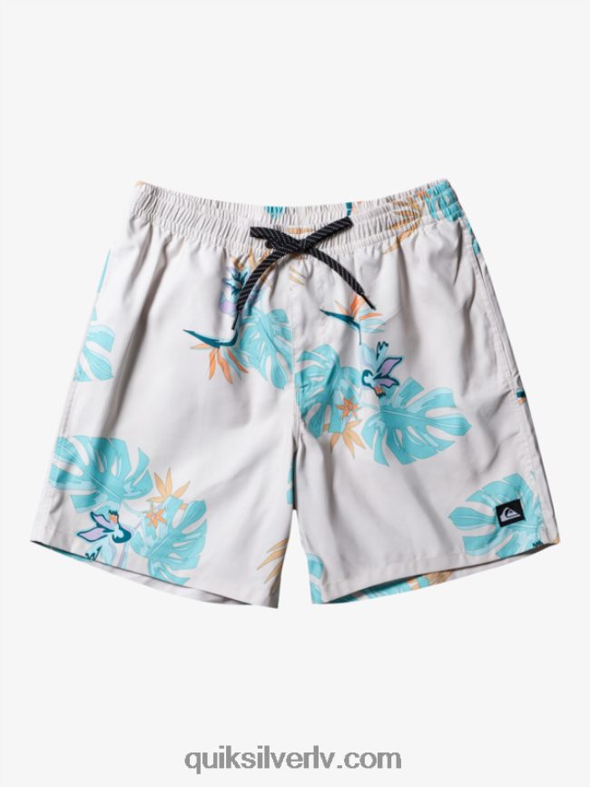 vīriešiem Quiksilver ikdienas mix 17 zalves balts 88064R679