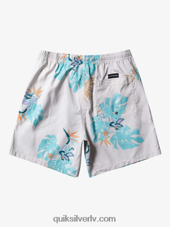 vīriešiem Quiksilver ikdienas mix 17 zalves balts 88064R679