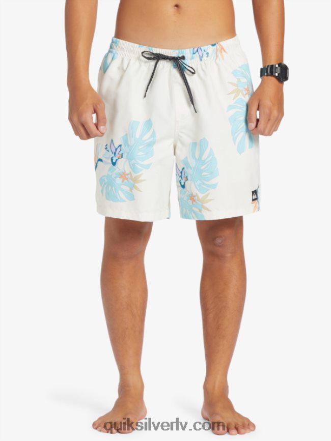 vīriešiem Quiksilver ikdienas mix 17 zalves balts 88064R679