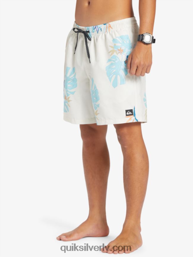 vīriešiem Quiksilver ikdienas mix 17 zalves balts 88064R679