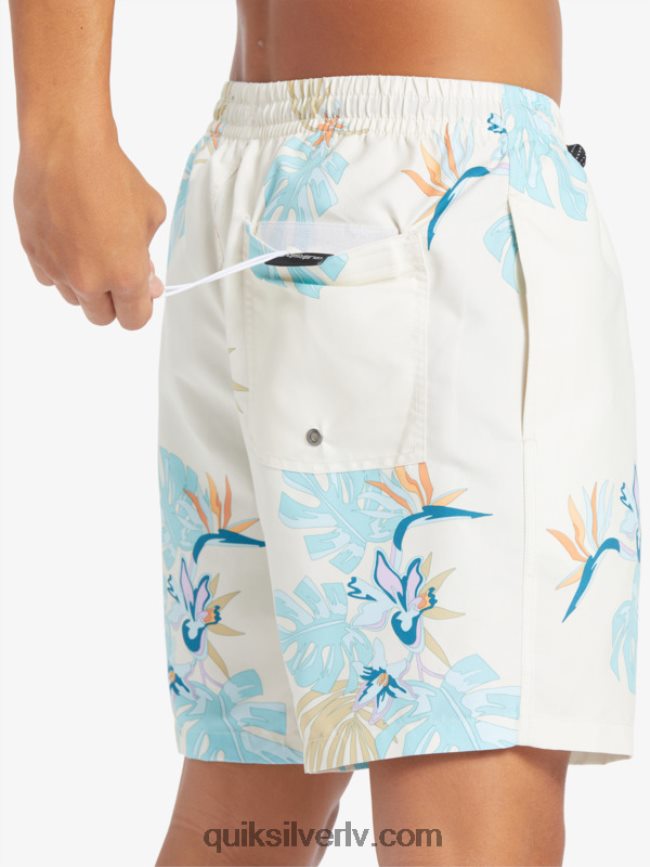 vīriešiem Quiksilver ikdienas mix 17 zalves balts 88064R679