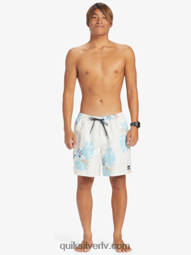vīriešiem Quiksilver ikdienas mix 17 zalves balts 88064R679