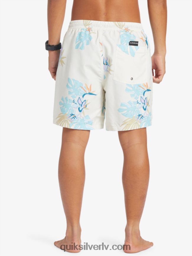 vīriešiem Quiksilver ikdienas mix 17 zalves balts 88064R679