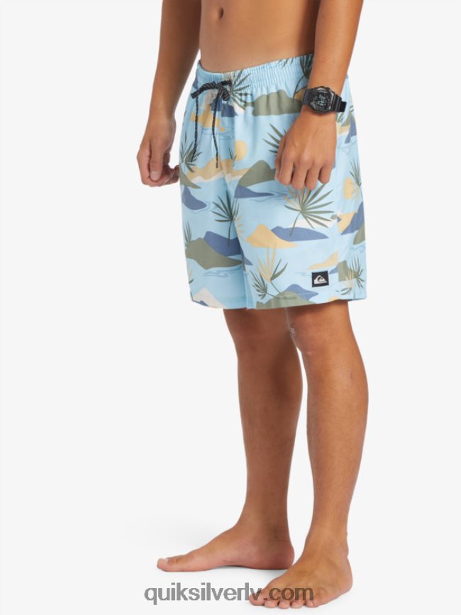 vīriešiem Quiksilver ikdienas mix 17 zalves debesu zils 88064R677
