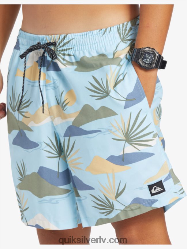 vīriešiem Quiksilver ikdienas mix 17 zalves debesu zils 88064R677