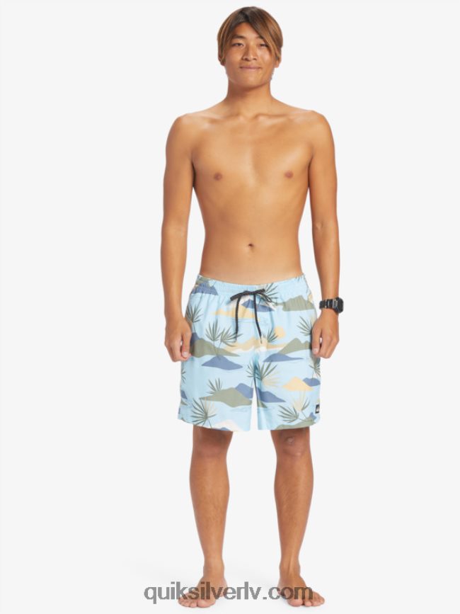 vīriešiem Quiksilver ikdienas mix 17 zalves debesu zils 88064R677
