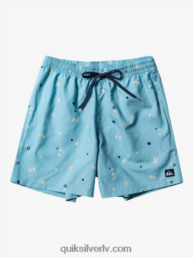 vīriešiem Quiksilver ikdienas mix 17 zalves debeszils 88064R680