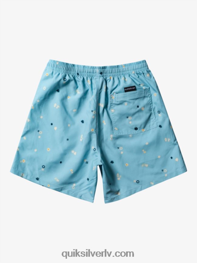 vīriešiem Quiksilver ikdienas mix 17 zalves debeszils 88064R680