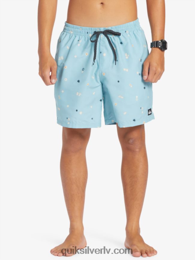 vīriešiem Quiksilver ikdienas mix 17 zalves debeszils 88064R680