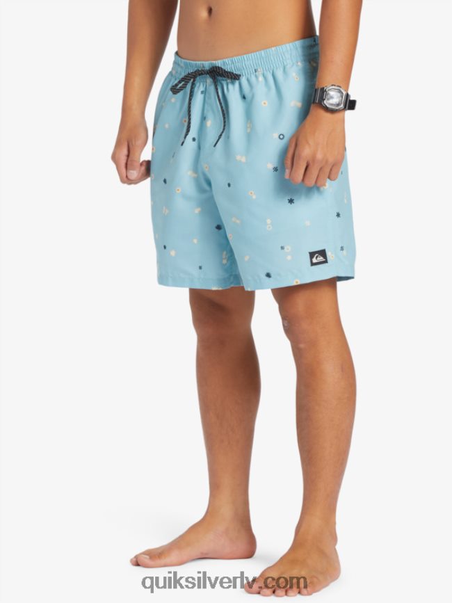 vīriešiem Quiksilver ikdienas mix 17 zalves debeszils 88064R680