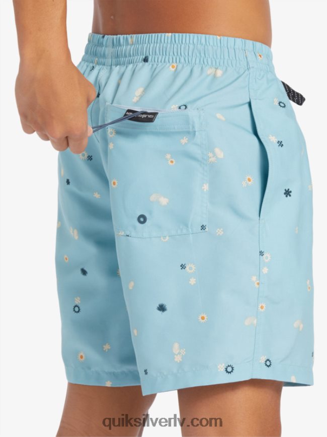 vīriešiem Quiksilver ikdienas mix 17 zalves debeszils 88064R680