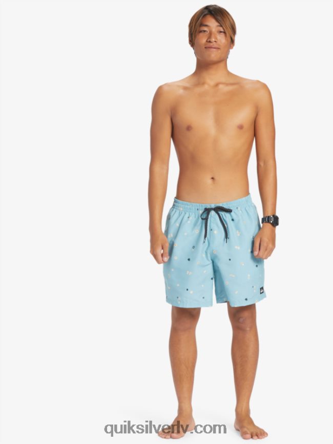 vīriešiem Quiksilver ikdienas mix 17 zalves debeszils 88064R680