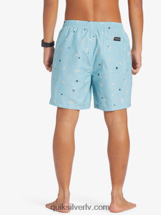 vīriešiem Quiksilver ikdienas mix 17 zalves debeszils 88064R680