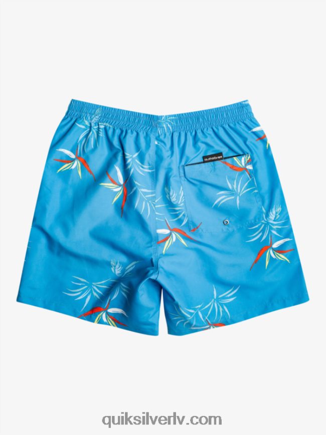 vīriešiem Quiksilver ikdienas mix 17 zalves debeszils zils 88064R674