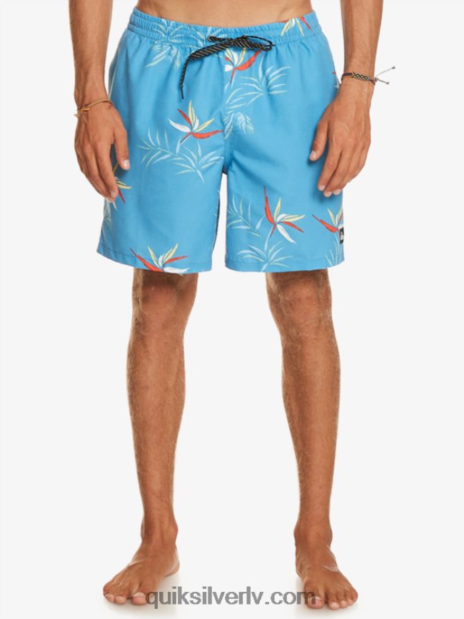 vīriešiem Quiksilver ikdienas mix 17 zalves debeszils zils 88064R674