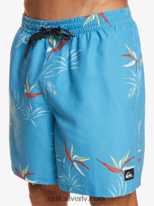 vīriešiem Quiksilver ikdienas mix 17 zalves debeszils zils 88064R674