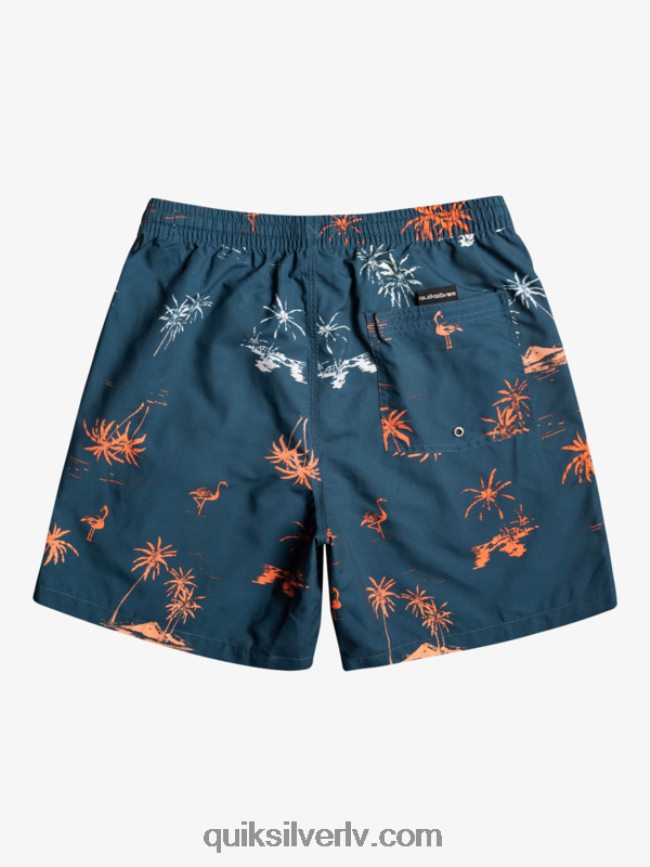 vīriešiem Quiksilver ikdienas mix 17 zalves majolika zila 88064R1465