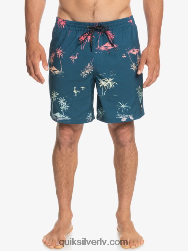 vīriešiem Quiksilver ikdienas mix 17 zalves majolika zila 88064R1465